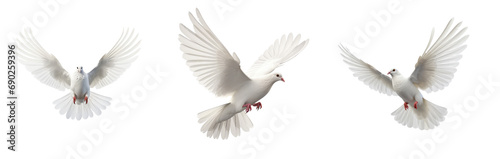 Set of Freedom and peace, this image features an elegant white dove in graceful flight, symbolizing purity and liberty. The bird embodies the beauty of unbridled freedom and celestial serenity. photo
