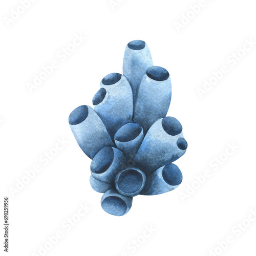 Blue tubular sea sponge, corals, algae. Hand drawn watercolor illustration. Sea animals, underwater world, seafood. Isolated object on a white background for decoration and design. photo