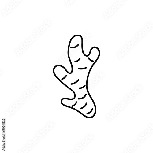 ginger icon vector ginger root