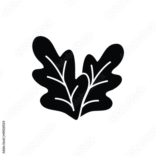 spinach icon vector salad leaf icon