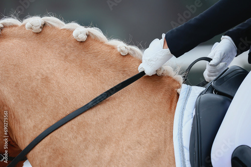 Horses crest, mane. close-up details of horse of a dressage competition photo