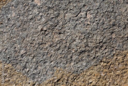 Natural stone background. Texture of stone fossilized limestone.