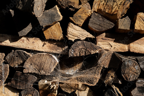 Background of firewood. Wooden stumps, firewood stacked in heap.