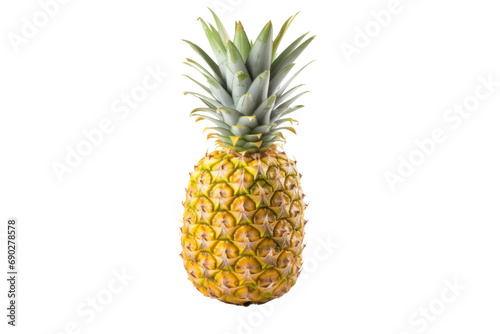 Fresh Pineapple Fruit Isolated on Transparent, PNG