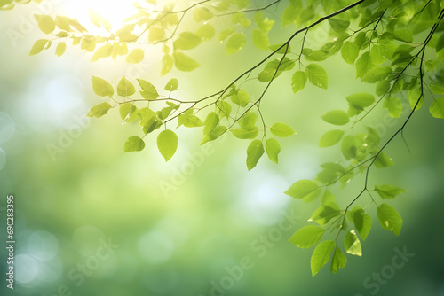 Close up spring nature view of green brunches on blurred garden background with copy space. Natural background Generative Ai