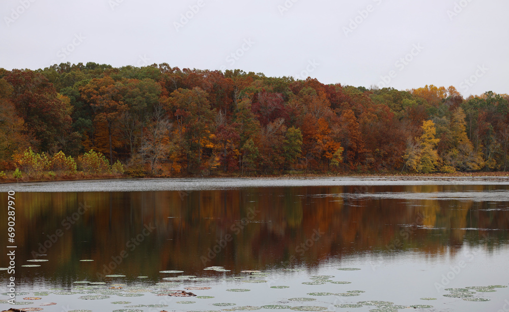 autumn trees reflected in water autumn trees reflected in water
