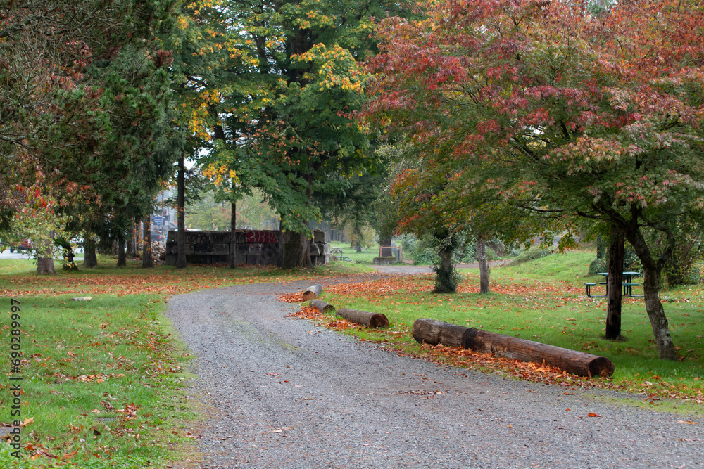 Naklejka premium Gravel Road Runs through park