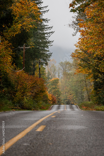 Autumn color along two lane road