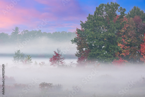 Autumn landscape of foggy marsh and forest at dawn, Barry County, Michigan, USA