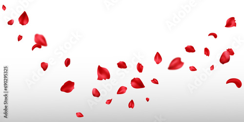 Red rose petals will fall on abstract floral background. Flowers plants elements leaves red petals collection. Rose petal greeting card design.