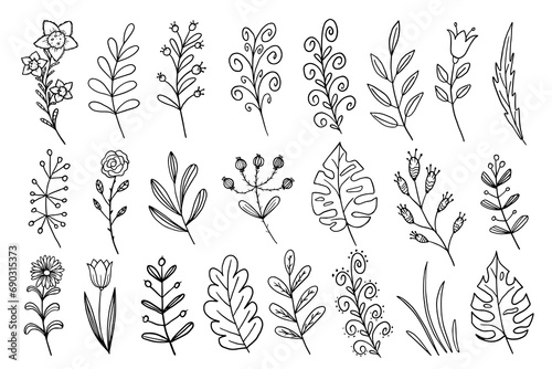 Set of floral branchs, elegant wildflowers and minimalist leaves. Doodle style. Hand drawn. Minimal line art drawing for design, print, web or advertising. Vector illustration EPS10. 