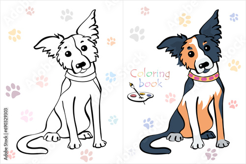 Vector Coloring Book page of dog Border Collie breed tricoloured dog sitting