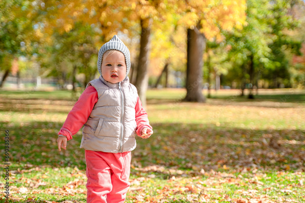 Cute child toddler baby in autumn park, forest with fallen leaves Cute child toddler baby in autumn park, forest with fallen leaves