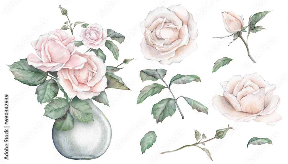 Watercolor composition from white cream roses and green leaves in glass jar. Hand drawn illustration isolated white background. Set elements hand painted plant twigs with peach fuzz rose for design