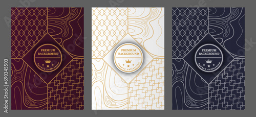 A luxurious pattern. A set of spectacular patterns for covers, prints, interior design, packaging, premium funds and creative ideas