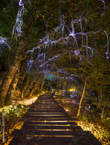 Fairy-tale beautiful park with wooden path and forest trees decorated with magical lamps and garlands. Vertical outside natural landscape. Lightland, Montenegro