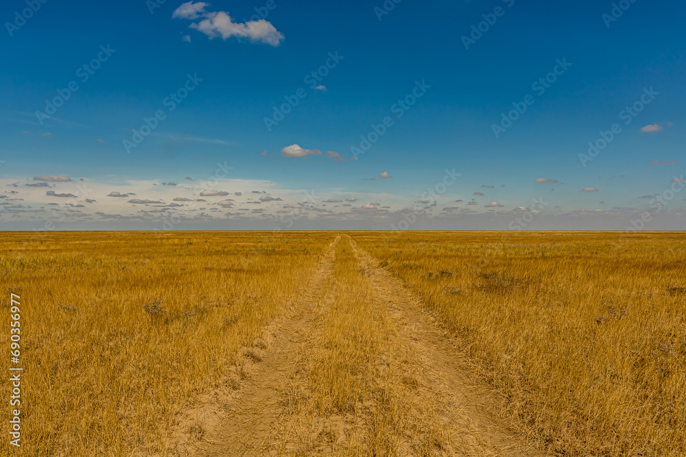 Bright sunny day in the Russian steppe with Cumulus clouds. Fluffy white clouds in the blue sky. Bright yellow grass on the veld.  The road in the steppe goes beyond the horizon.