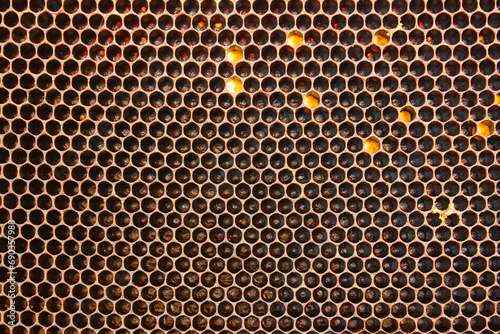 Black bee honeycombs close-up as a background.