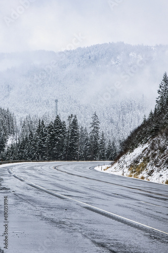 view of icy winter road with low morning fog over forest of northwestern United States with green coniferous trees in Washington state North Cascade Mountains