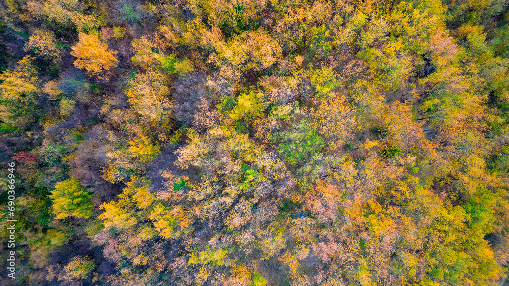 aerial view of an autumn landscape between hills and colorful woods aerial view of an autumn landscape between hills and colorful woods