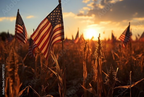 American flags in a cemetery at sunset photo