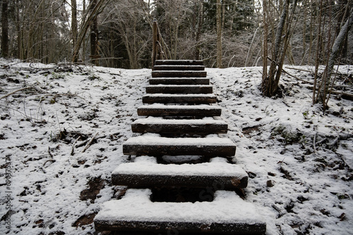 Ascending Winter's Stairs: Snowy Forest Passage in Pokainu Mezs, Dobele, Latvija photo