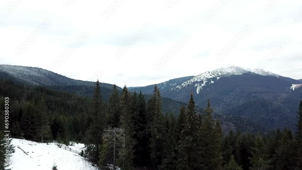 Mountain Melody of Carpathian Nature. Mountain Melody of Carpathian Nature.