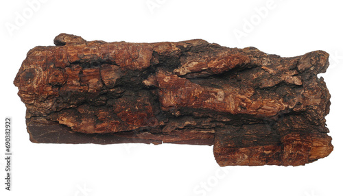 Old rotten bark, putrid conifers isolated on white, clipping path photo