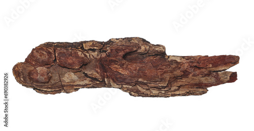 Old rotten bark, putrid conifers isolated on white, clipping path