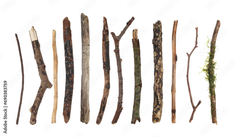 Fototapeta premium Set macro old rotten branches isolated on white, clipping path