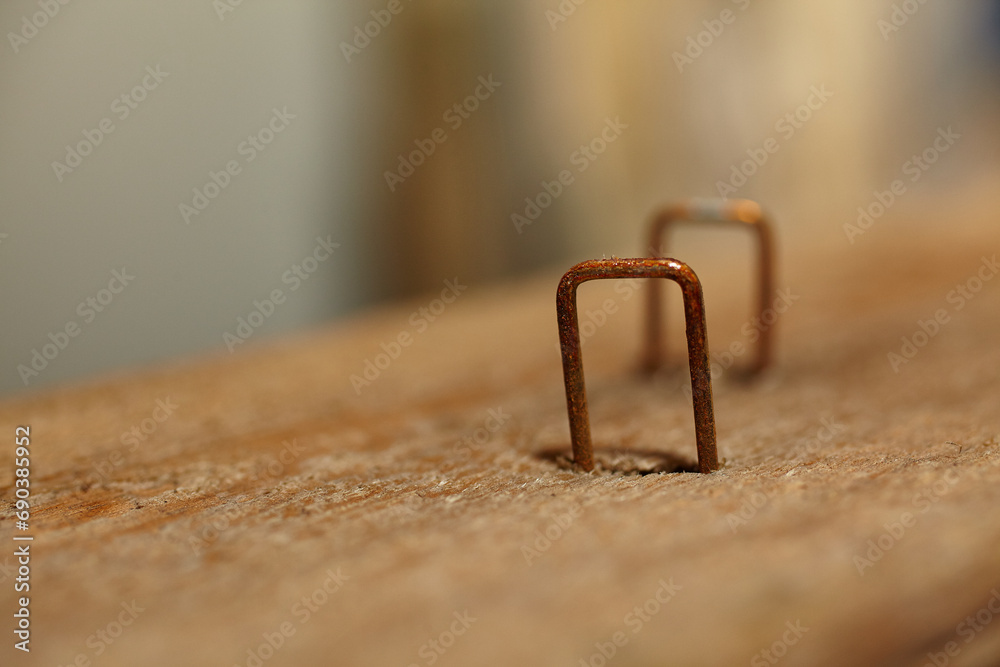 Photo & Art Print Rusted Staples in Weathered Wood, Echoing Time