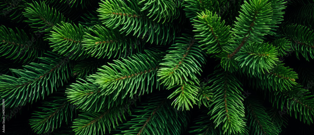 Vibrant green fir tree branches densely packed, showcasing the natural beauty and texture of pine needles.