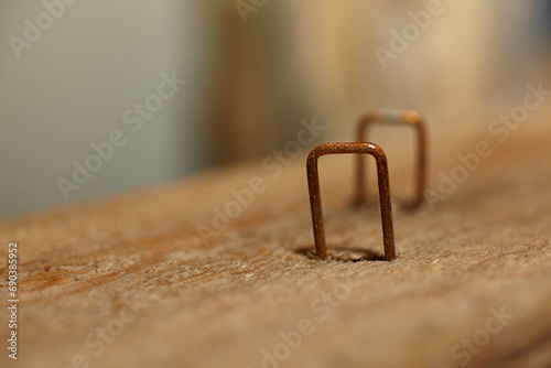 Rusted Staples in Weathered Wood, Echoing Time and Utility Close-Up