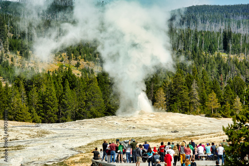 Yellowstone National Park. Wyoming. USA