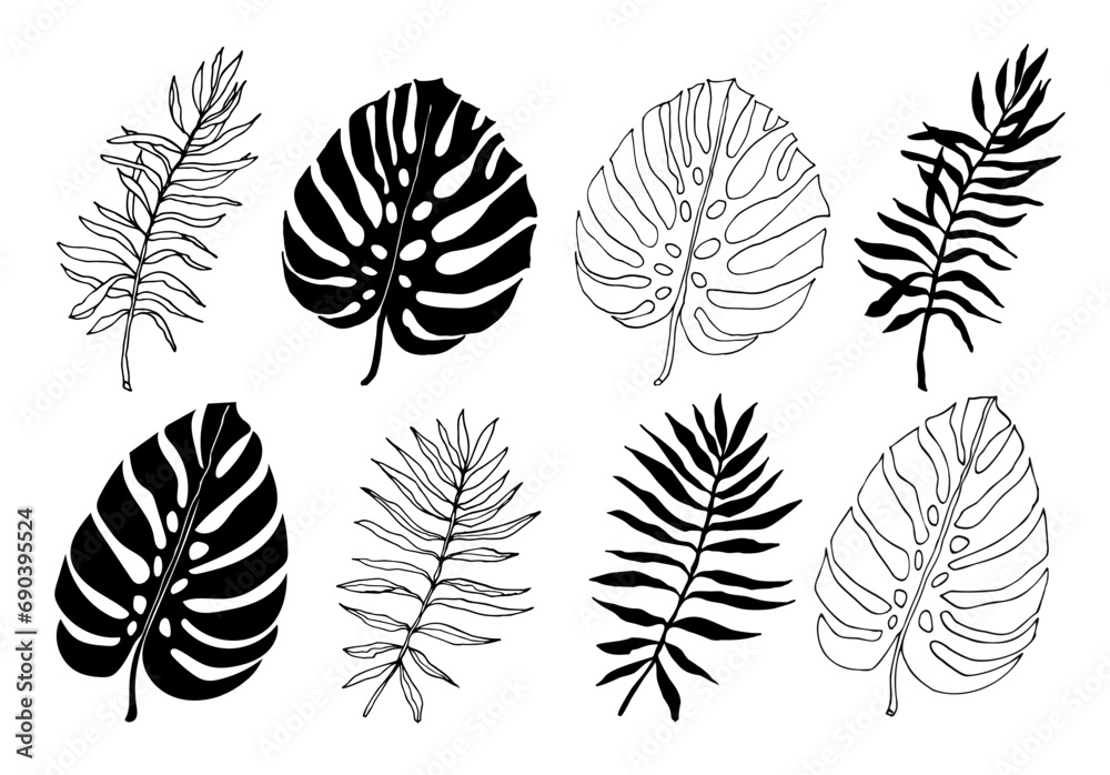 Monstera and palm line art and silhouette set of tropical leaves, greenery design element. Leaf for coloring book, logo or scrapbook. Vector illustration, isolate on white background Monstera and palm line art and silhouette set of tropical leaves, greenery design element. Leaf for coloring book, logo or scrapbook. Vector illustration, isolate on white background