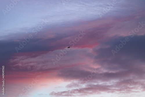 Beautiful pastel colored sky with lone black bird if light. 