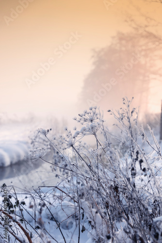 Krajobraz zimowy, mglisty świt