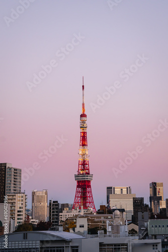 Tokyo Tower and sunset in Japan.