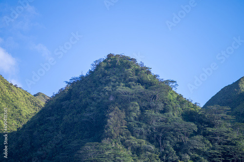 Mountains in the Honolulu Rainforest.