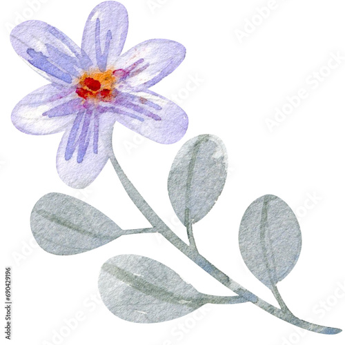 Watercolor illuustration of flower sketch photo