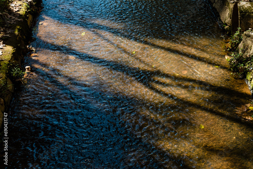 A famosa folha de bordô, que tem uma característica peculiar no outono sendo levada por um pequeno rio photo