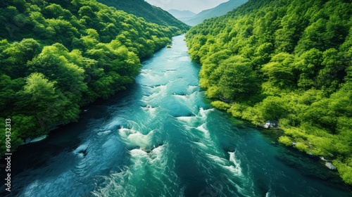 Natural river between forests - bird's eye view