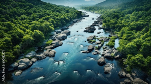 Natural river between forests - bird's eye view