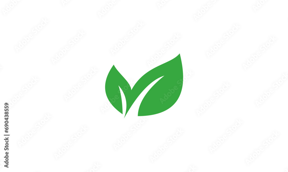 green leaf isolated on white background green leaf isolated on white background