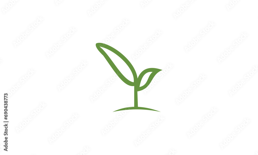 plant in a pot