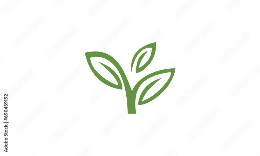 green plant isolated on white background green plant isolated on white background