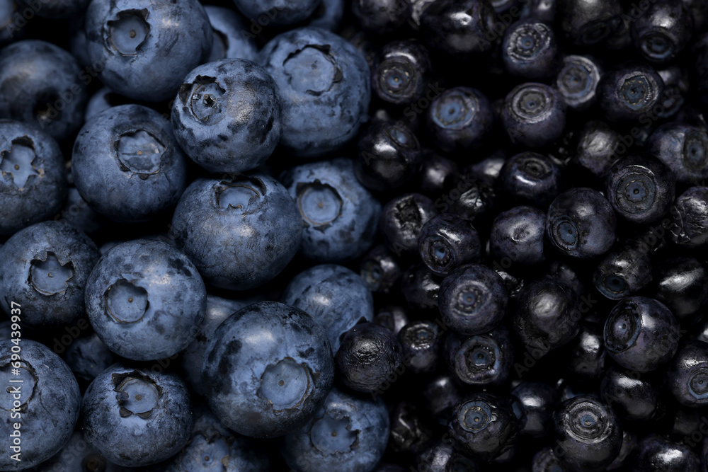 Ripe bilberries and blueberries as background, top view Ripe bilberries and blueberries as background, top view