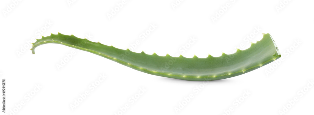Naklejka premium Green aloe vera leaf isolated on white
