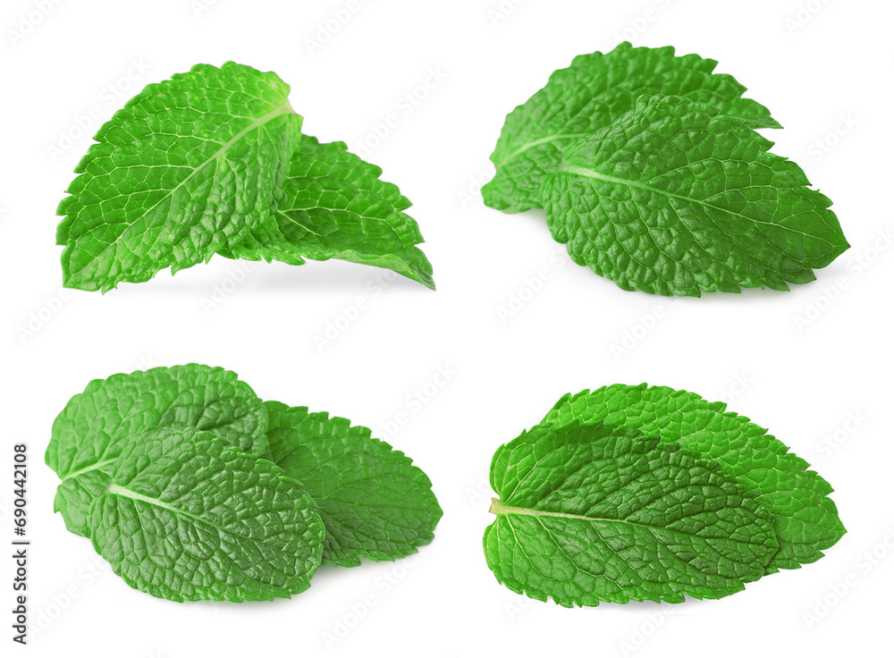 Many fresh mint leaves isolated on white Many fresh mint leaves isolated on white
