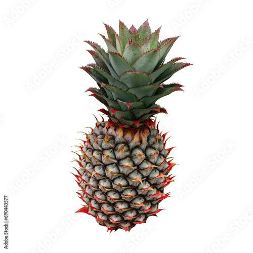Pineapple Fruit Photo(Cut-out)Portrait Illustration